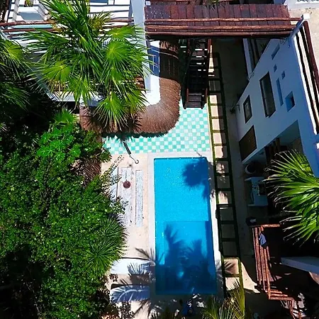 Residencia Gorila