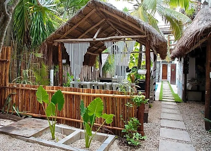 Residencia Gorila Tulum